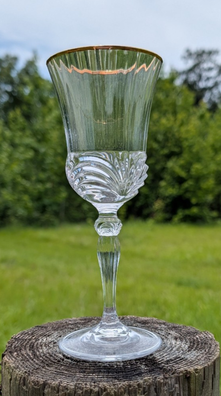 Royal Crystal Rock Aurea Gold Water Goblet Italy Hand Blown 7 7/8" Gold Rim